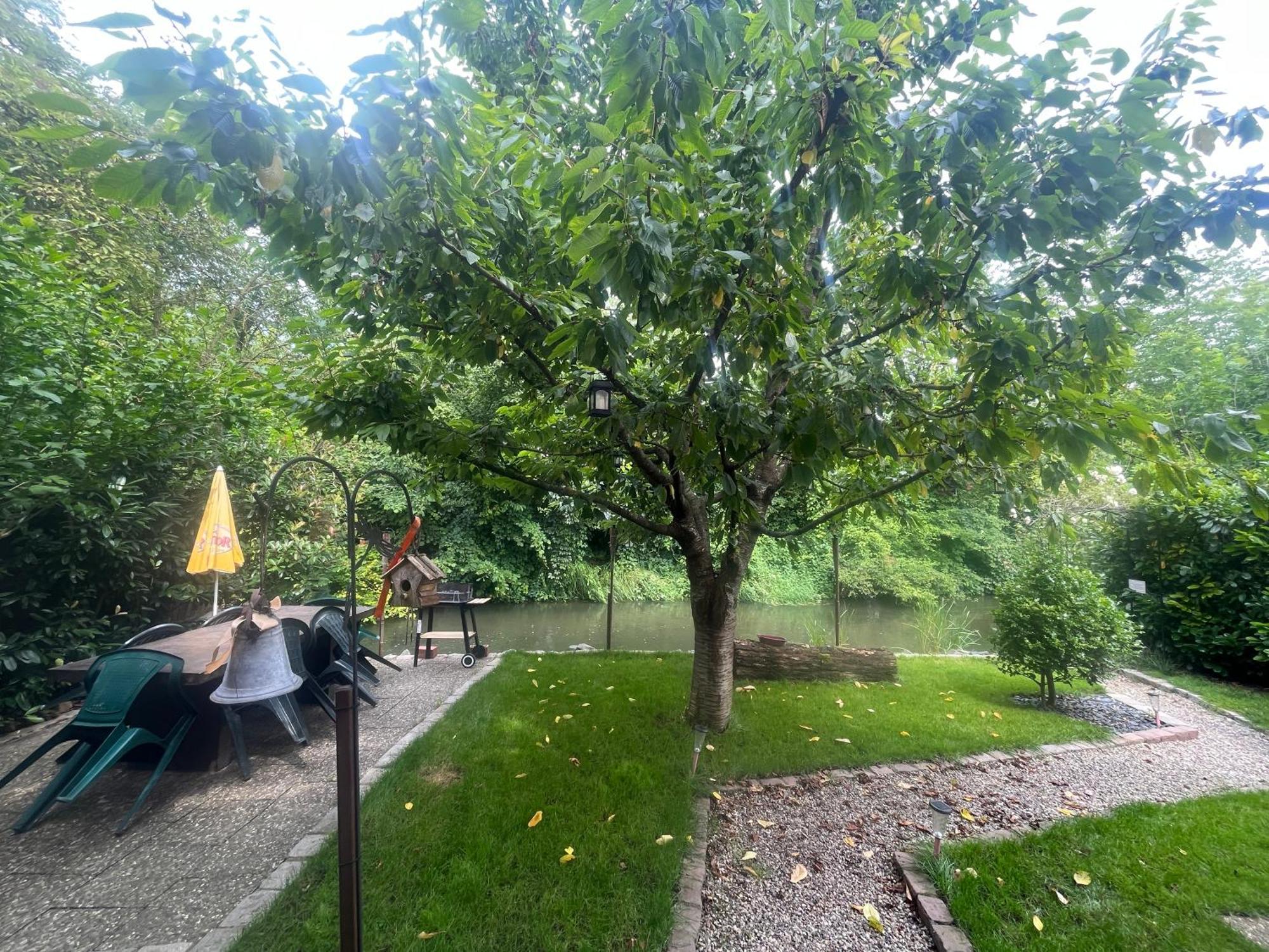 Plobsheim Entre Ville & Campagne מראה חיצוני תמונה